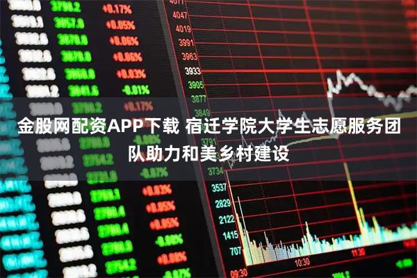 金股网配资APP下载 宿迁学院大学生志愿服务团队助力和美乡村建设