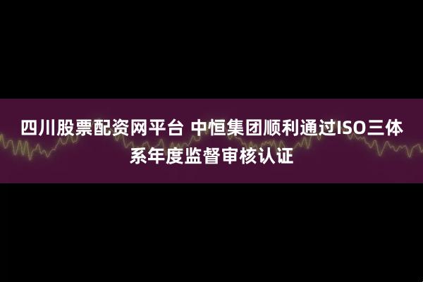 四川股票配资网平台 中恒集团顺利通过ISO三体系年度监督审核认证
