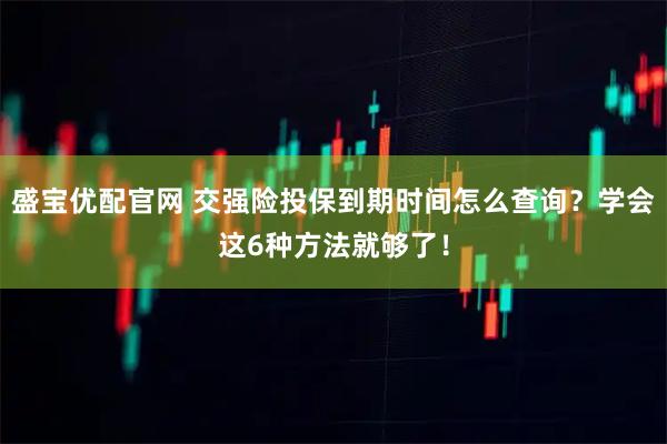 盛宝优配官网 交强险投保到期时间怎么查询？学会这6种方法就够了！