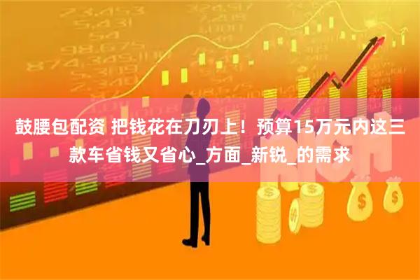 鼓腰包配资 把钱花在刀刃上！预算15万元内这三款车省钱又省心_方面_新锐_的需求