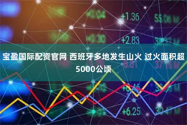 宝盈国际配资官网 西班牙多地发生山火 过火面积超5000公顷