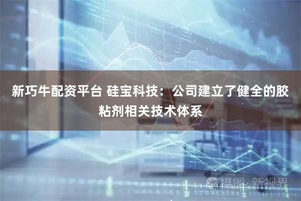 新巧牛配资平台 硅宝科技:公司建立了健全的胶粘剂相关技术体系